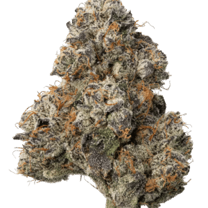 Lemon Cherry Gelato