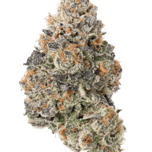 Gorilla Cookies